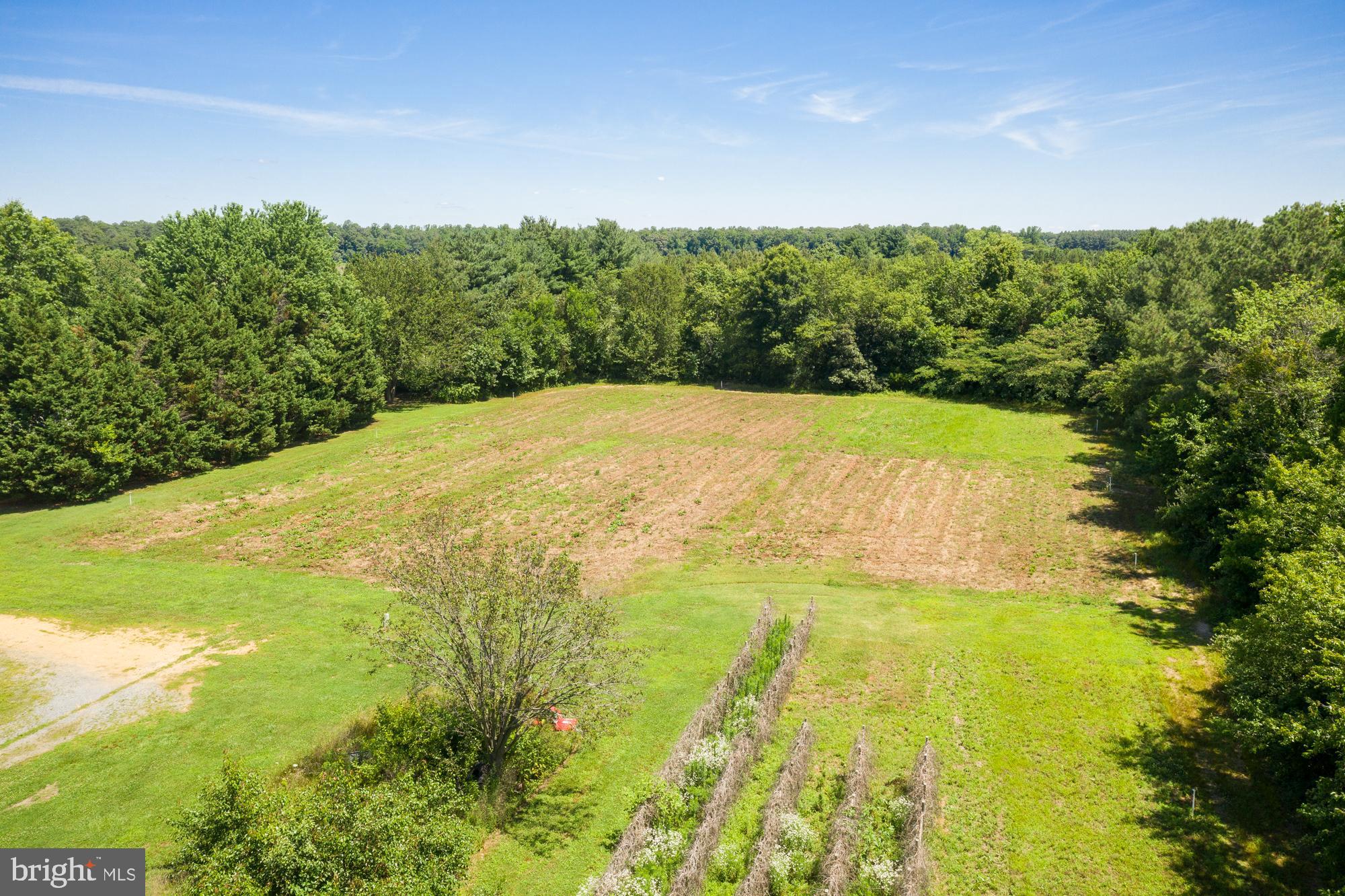 8277 Harmony Road Denton, MD 21629 - Photo 35 of 35 Gallery Image 35