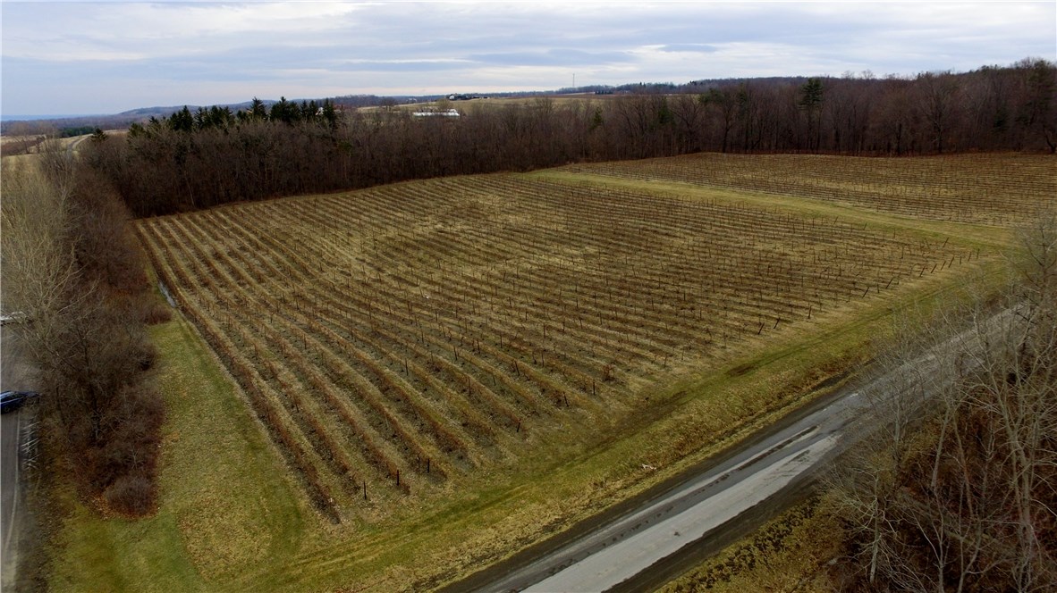 B Tichenor Road Hector, NY 14841 - Photo 1 of 1 Arial photo of the land.