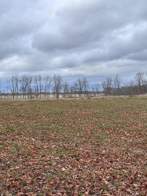 East Lockwood Road Coldwater, MI 49036 - Photo 1 of 2 IMG_3036
