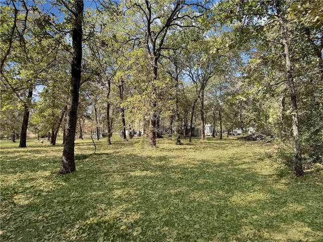 a view of field with trees