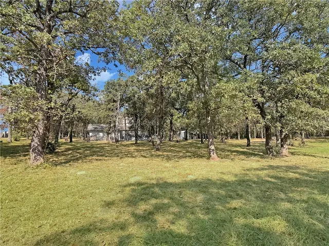a view of a yard with a tree
