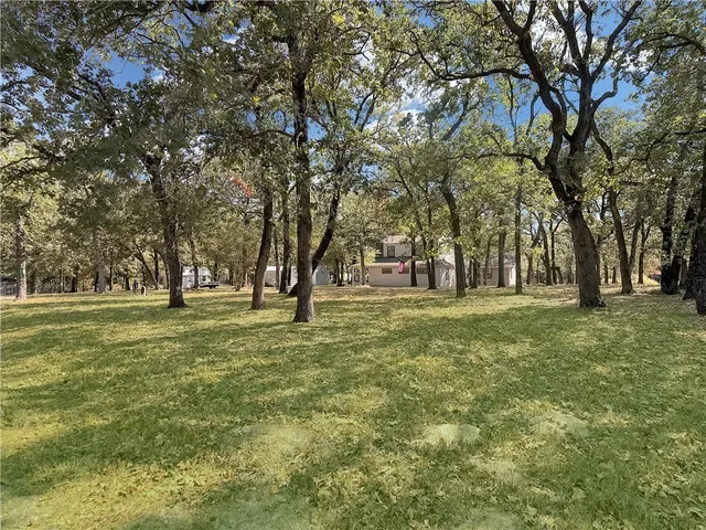 a huge green field with lots of trees