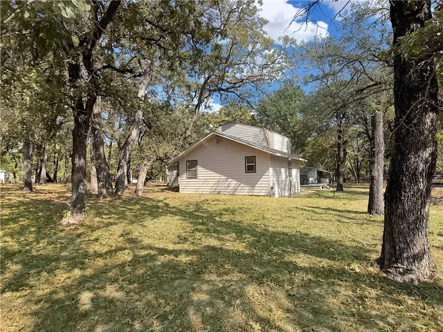 a tree in the middle of a yard