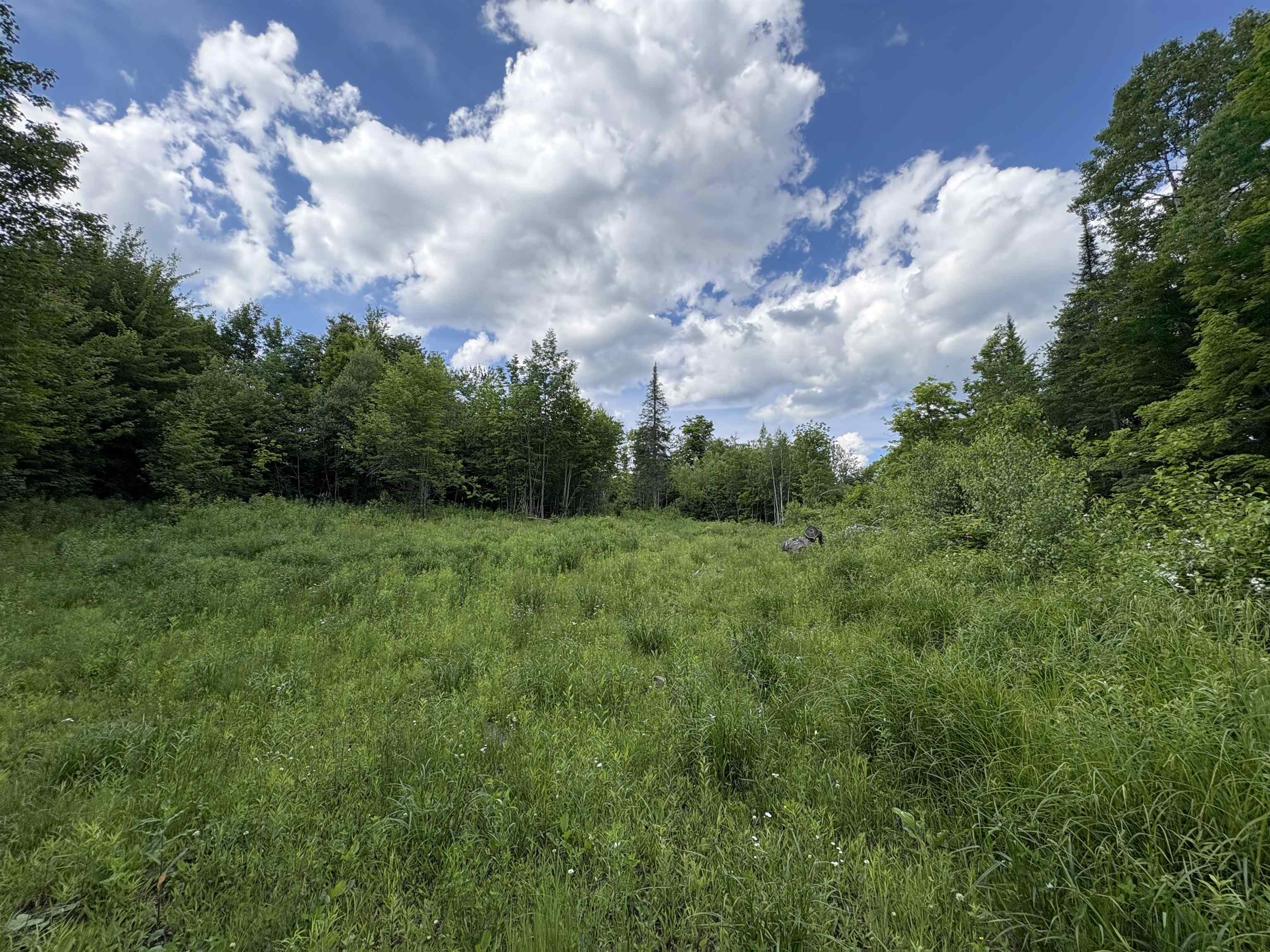 208 Drake Pl Road Sheffield, VT 05866 - Photo 2 of 43