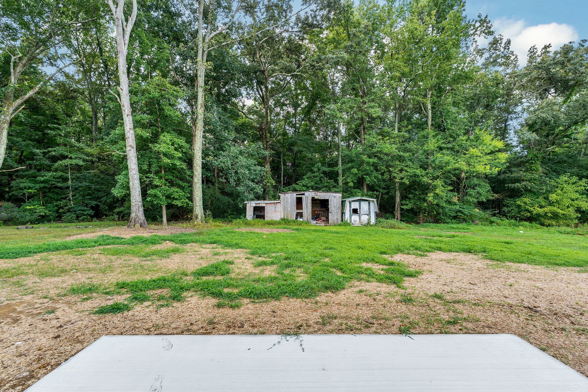 393 Flowertown Road Normandy, TN 37360 - Photo 31 of 34 a front view of a house with a yard and trees
