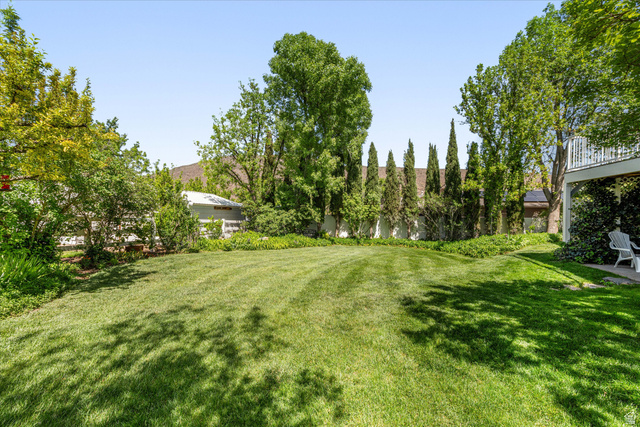 246 West Mount Charm Road Toquerville, UT 84774 - Photo 48 of 70 View of grassy yard