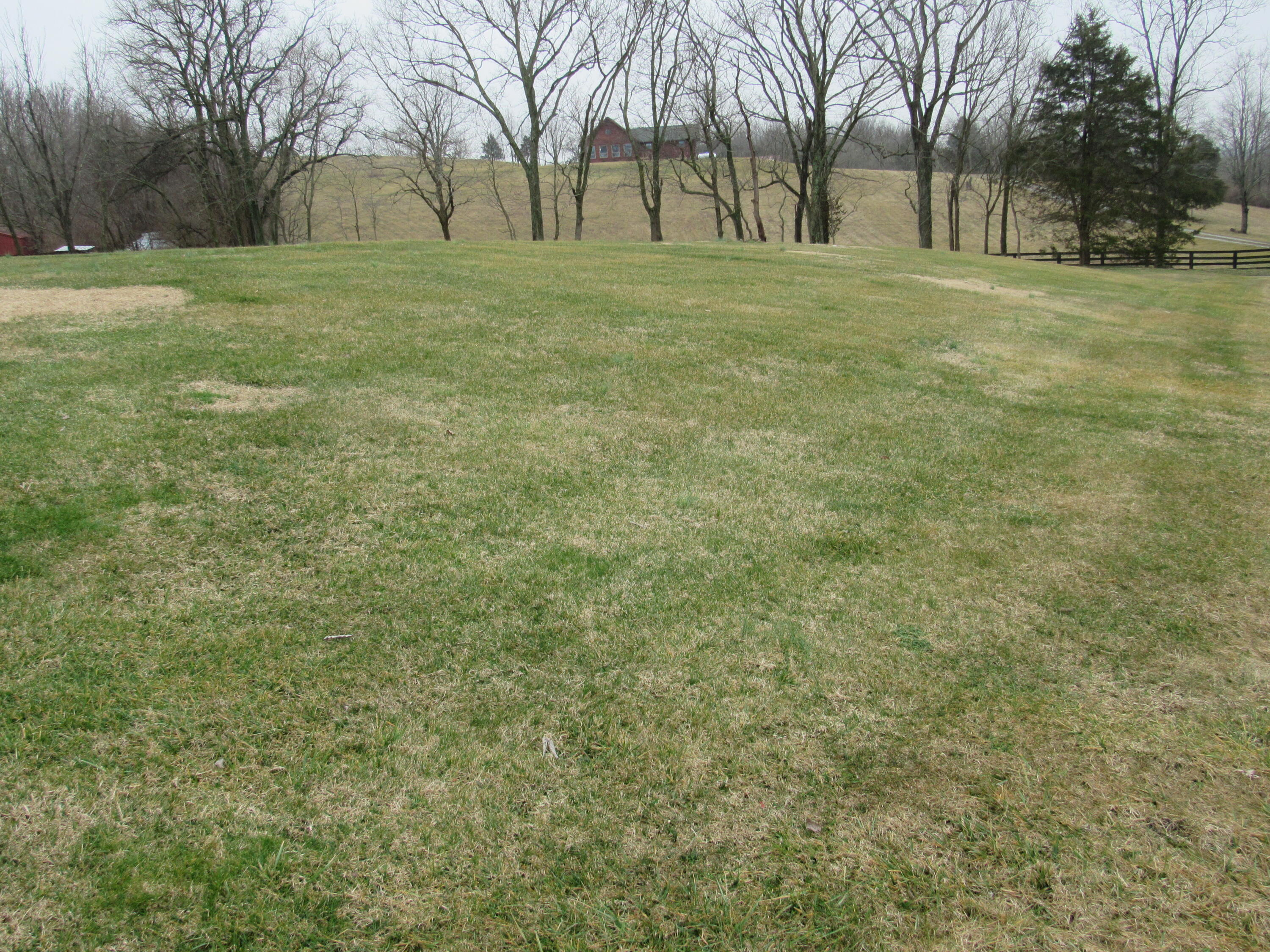 404 White Turley Road Mount Sterling, KY 40353 - Photo 5 of 53 404 front 8