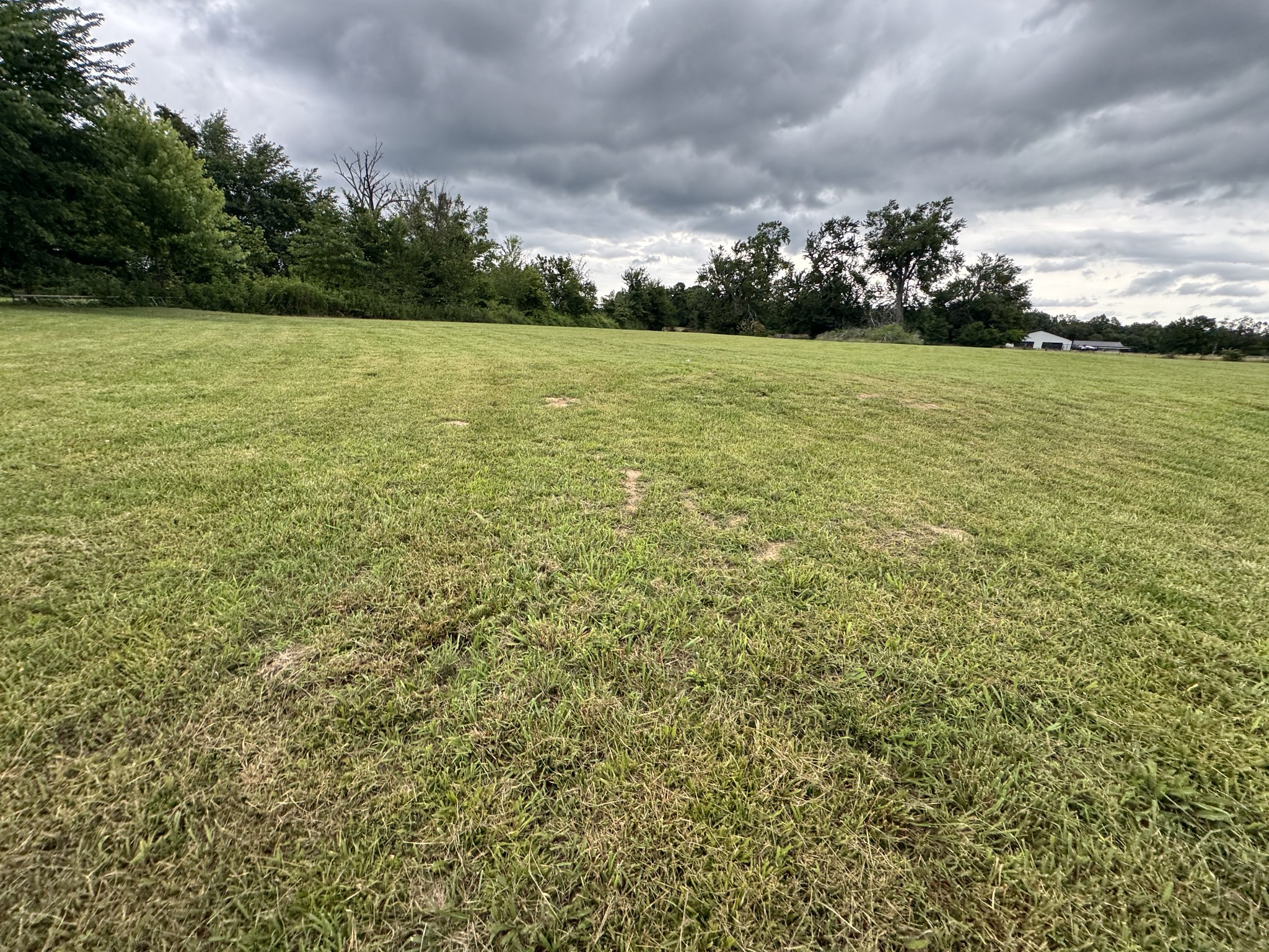 205 Williams Road Westmoreland, TN 37186 - Photo 11 of 14