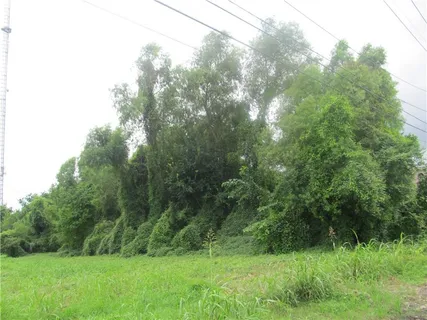 $125,000 | 0 Nevada Street, New Orleans, LA 70114