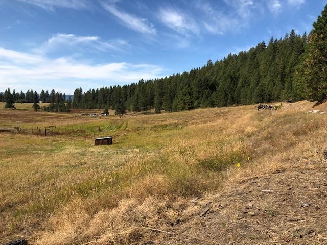 1750 F Orin-Rice Road Rice, WA 99167 - Photo 5 of 18
