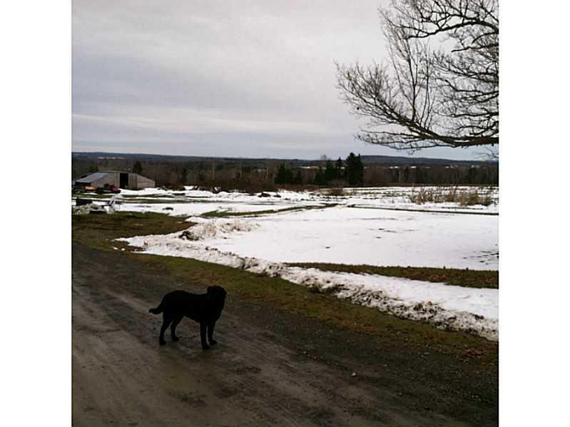 3 Bates Road Linneus, ME 04730 - Photo 5 of 7 Yard/Garden.