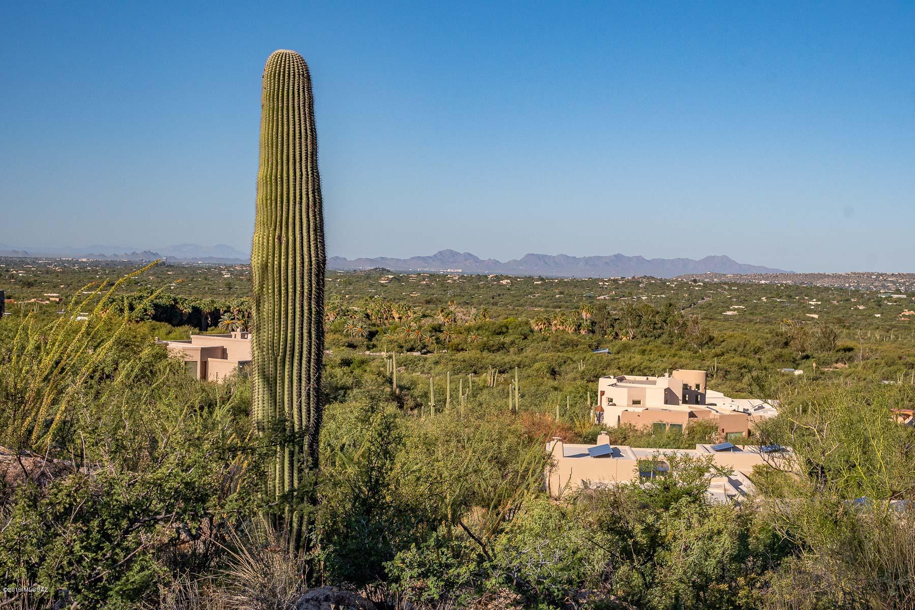 4140 Larkspur Road, Unit 79 Tucson, AZ 85749 - Photo 39 of 50 Gallery Image 39