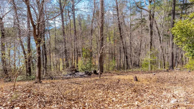 $1,750,000 | 2199 Yellow Fork Trail East, Nebo, NC 28761
