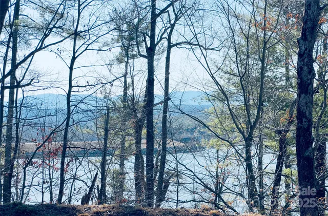a view of balcony with small garden