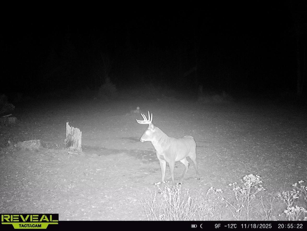 0 County Highway J Deerbrook, WI 54424 - Photo 75 of 78