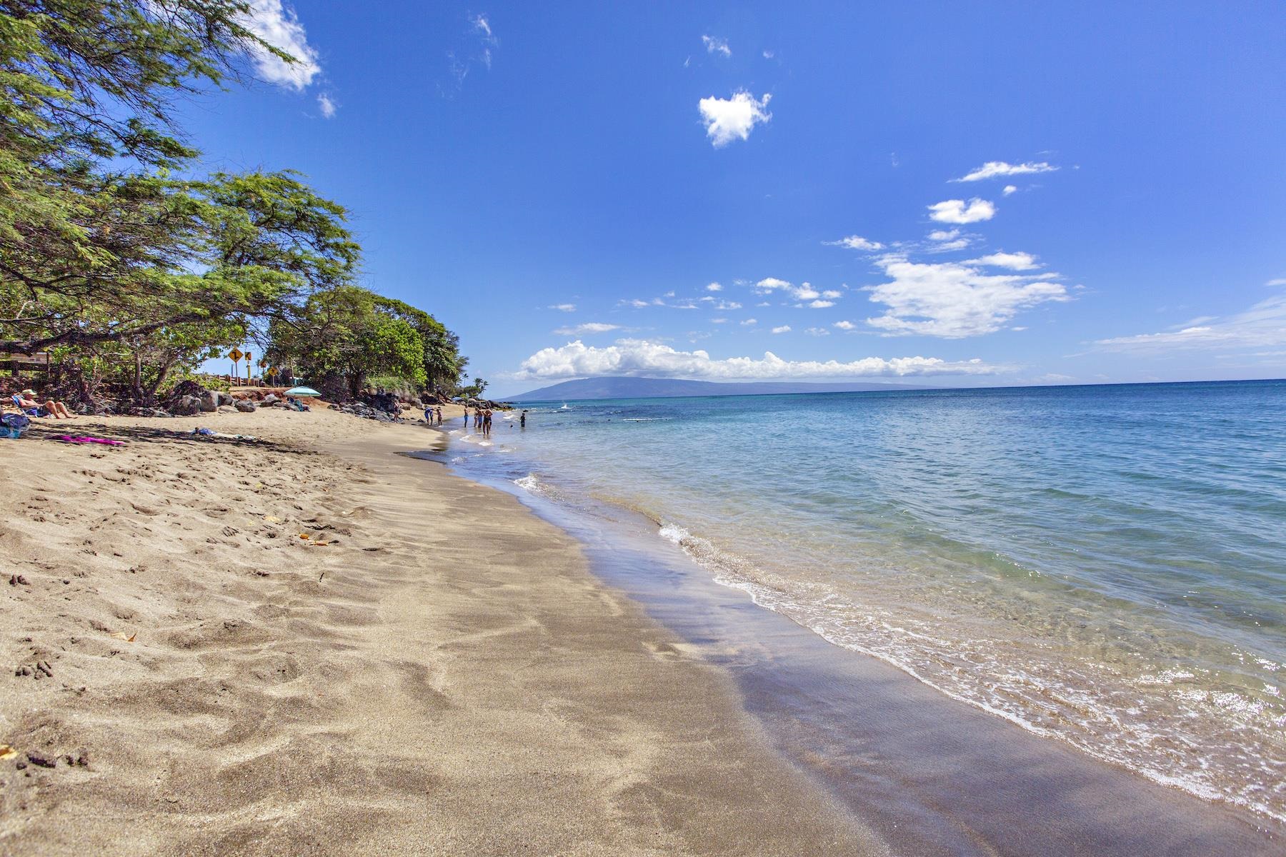 4310 Lower Honoapiilani Road, Unit 218 Lahaina, HI 96761 - Photo 27 of 30 a view of an ocean view