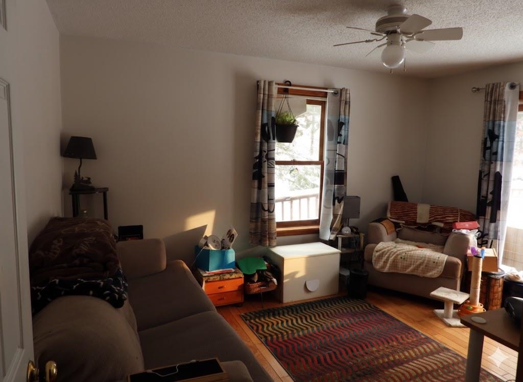 99 Whitefield Road Bethlehem, NH 03574 - Photo 25 of 34