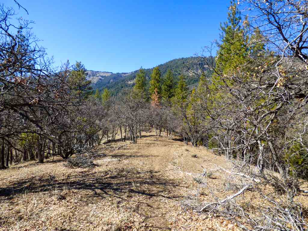 0 Greenhorn Road Yreka, CA 96097 - Photo 4 of 27 Gallery Image 4
