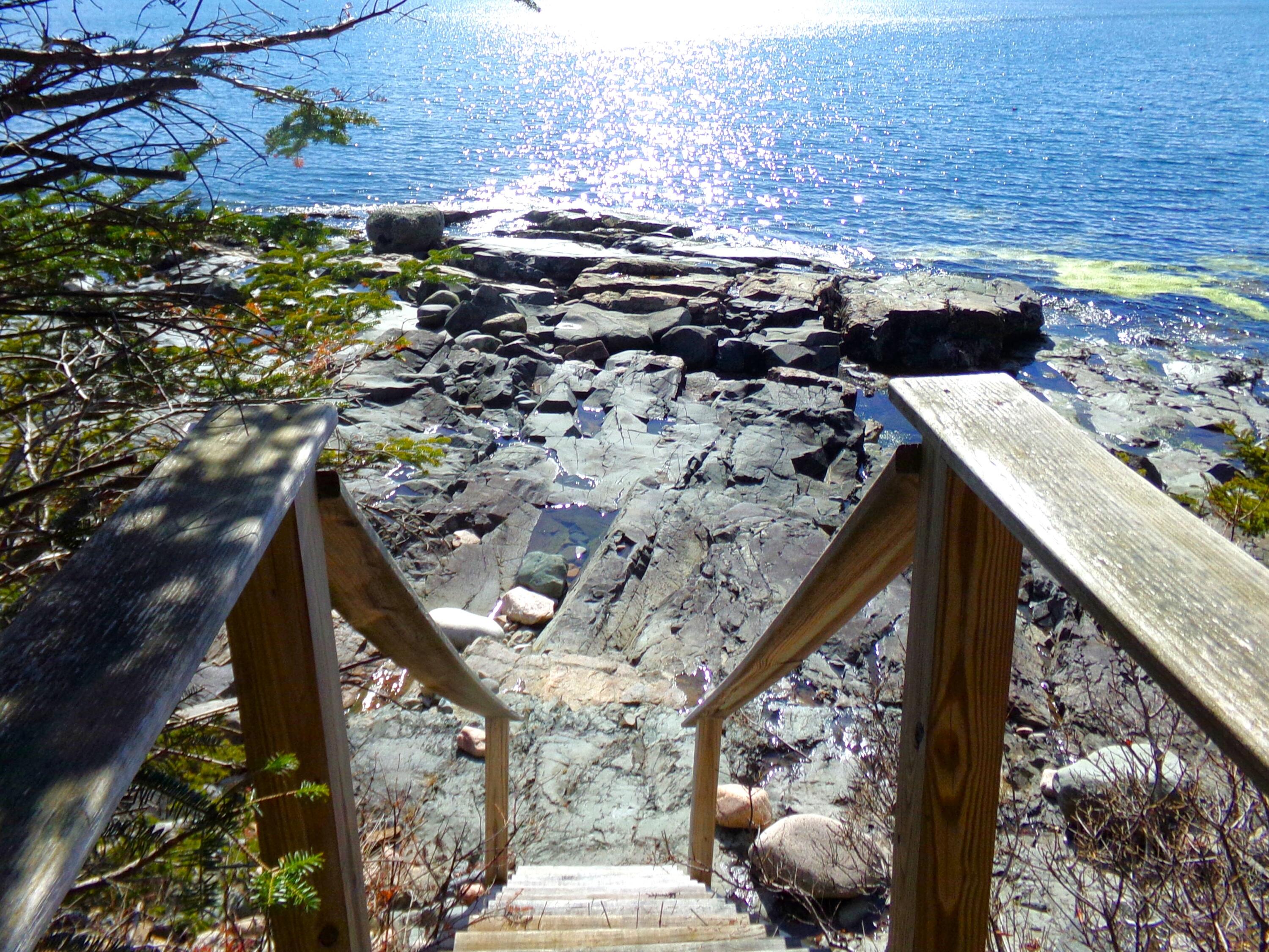29 Loon's Call Winter Harbor, ME 04693 - Photo 52 of 67
