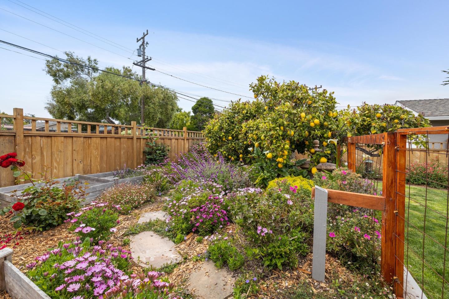 26571 Oliver Road Carmel, CA 93923 - Photo 3 of 63 a backyard of a house with lots of green space and plants