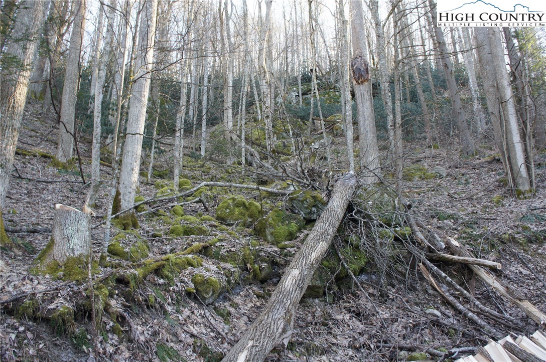 Rocky Road Banner Elk, NC 28604 - Photo 12 of 16 Gallery Image 12