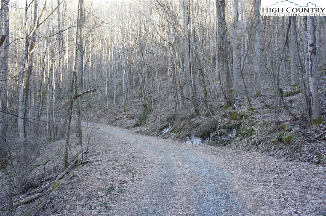 Rocky Road Banner Elk, NC 28604 - Photo 2 of 16 Gallery Image 2