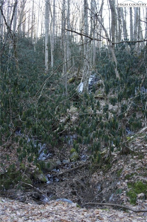 Rocky Road Banner Elk, NC 28604 - Photo 4 of 16 Gallery Image 4