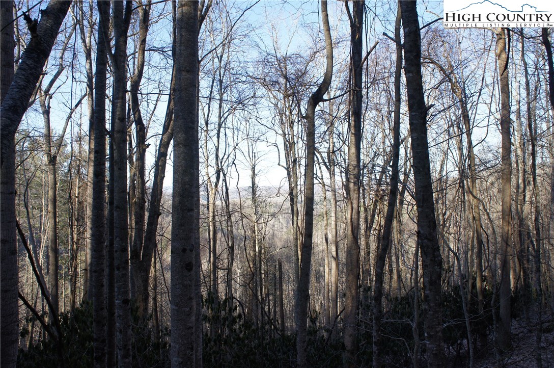 Rocky Road Banner Elk, NC 28604 - Photo 7 of 16 Gallery Image 7