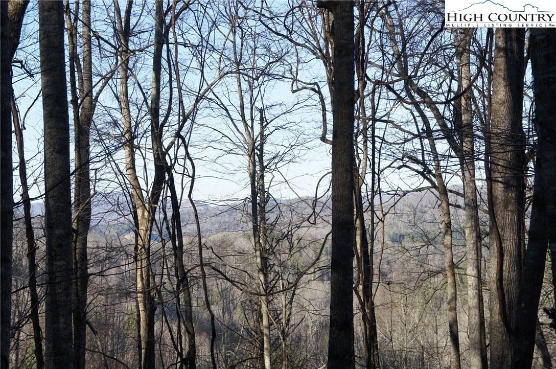 Rocky Road Banner Elk, NC 28604 - Photo 8 of 16 Gallery Image 8