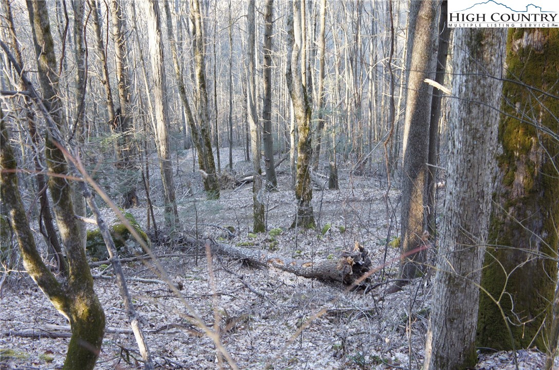 Rocky Road Banner Elk, NC 28604 - Photo 10 of 16 Gallery Image 10