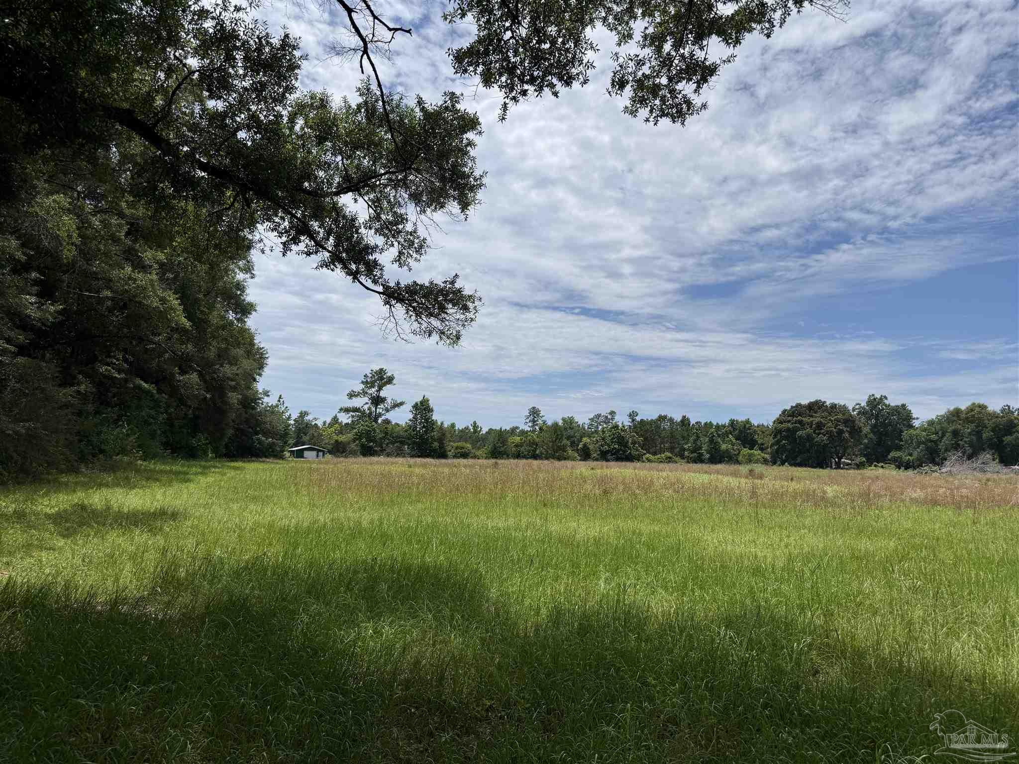296 Salters Lake Road Century, FL 32535 - Photo 13 of 34