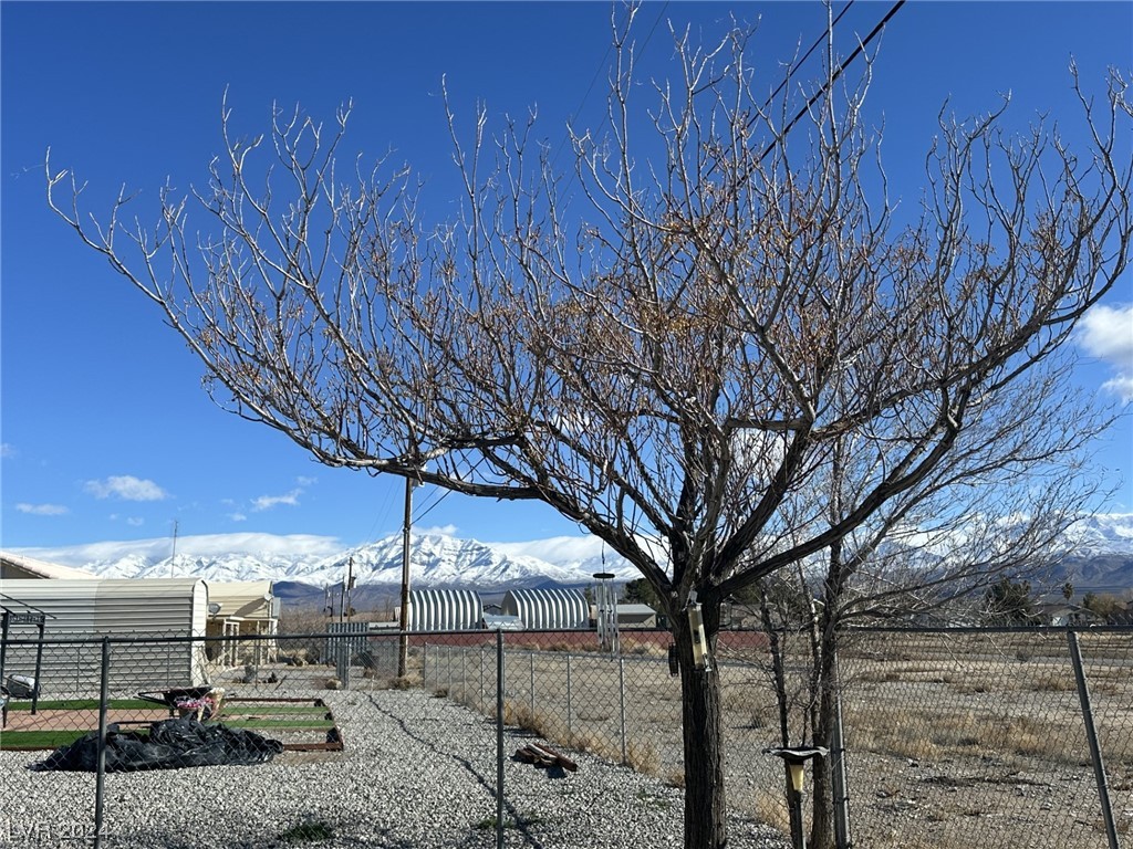 1721 South Blagg Road Pahrump, NV 89048 - Photo 46 of 56