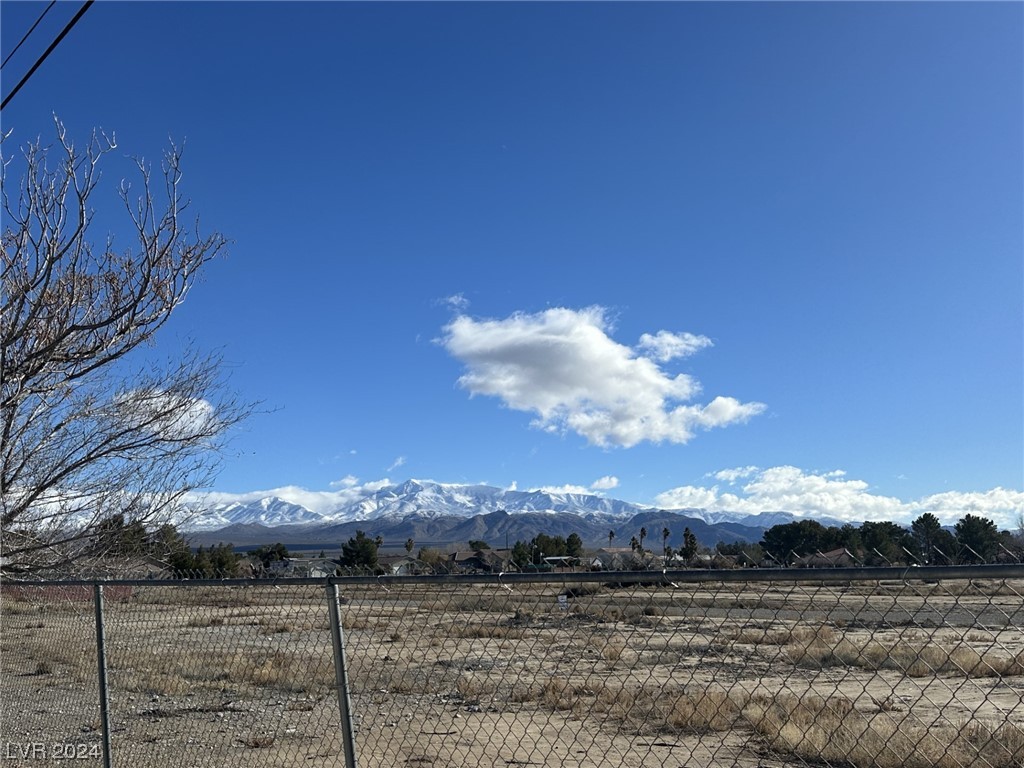 1721 South Blagg Road Pahrump, NV 89048 - Photo 47 of 56