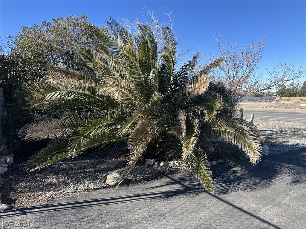 1721 South Blagg Road Pahrump, NV 89048 - Photo 50 of 56