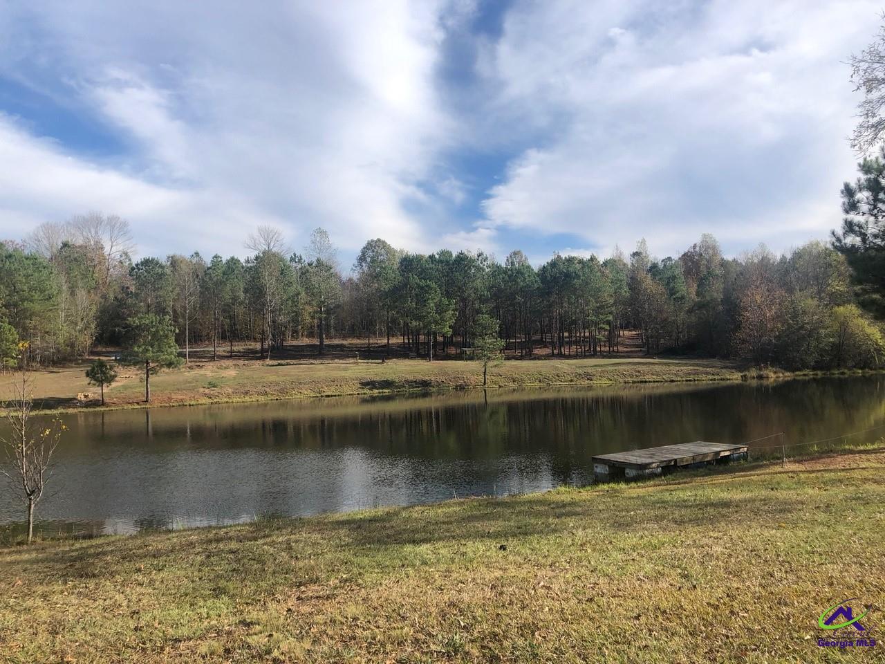 0 County Line Road Elko, GA 31025 - Photo 12 of 12