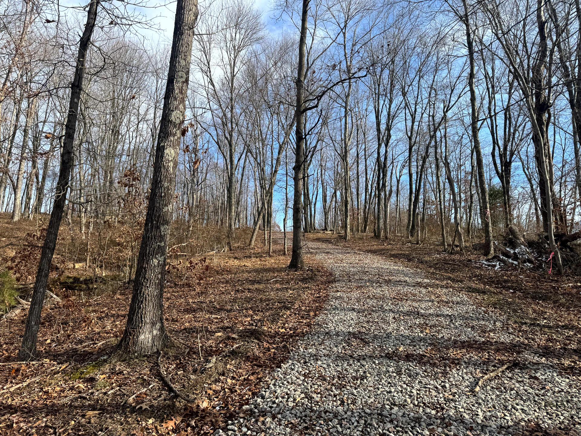 336 Golf Course Road, Unit TRACT 6 SKYLINEACRES) Waverly, OH 45690 - Photo 3 of 36 CT-3