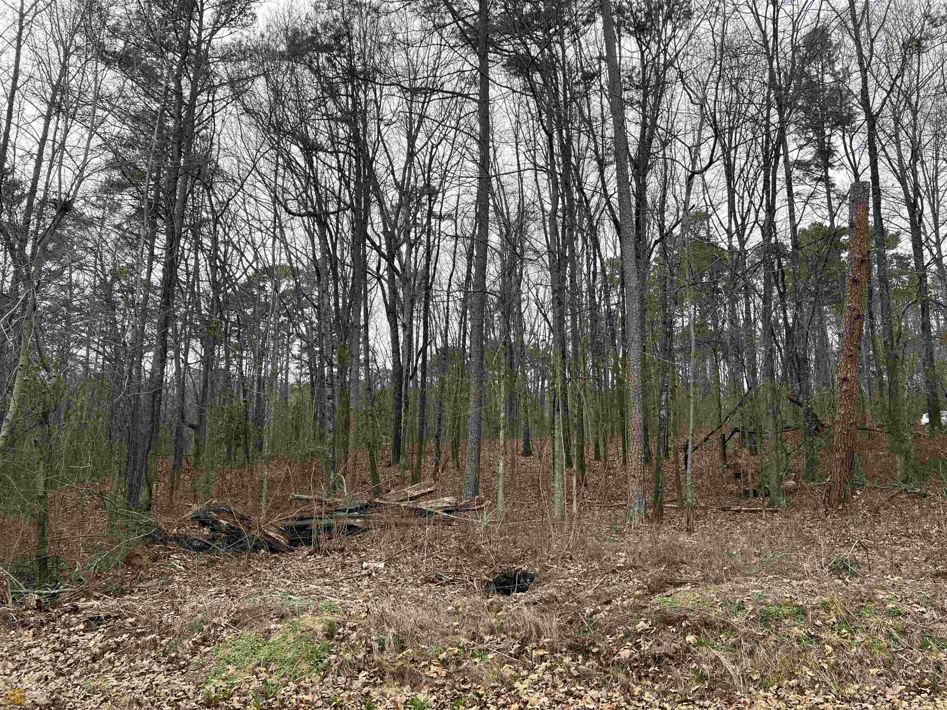 Lot 5 Hogan Road, Unit LOT 5 Rossville, GA 30741 - Photo 1 of 1 Gallery Image 1
