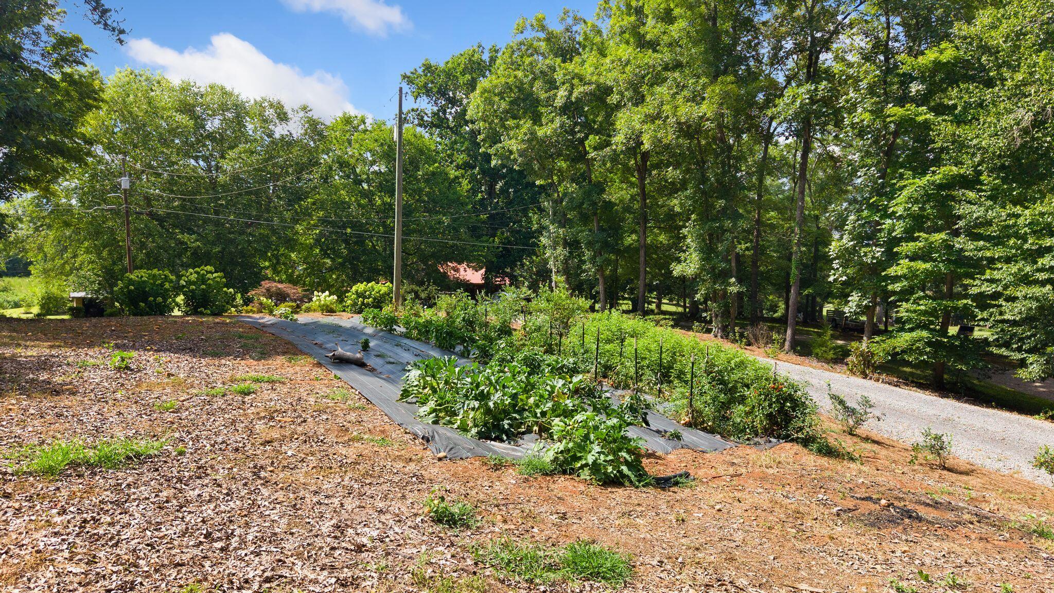 800 Reynolds Bridge Road Benton, TN 37307 - Photo 55 of 57 55_52