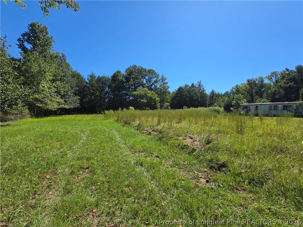 9685 Giles Road Linden, NC 28356 - Photo 2 of 14 Gallery Image 2