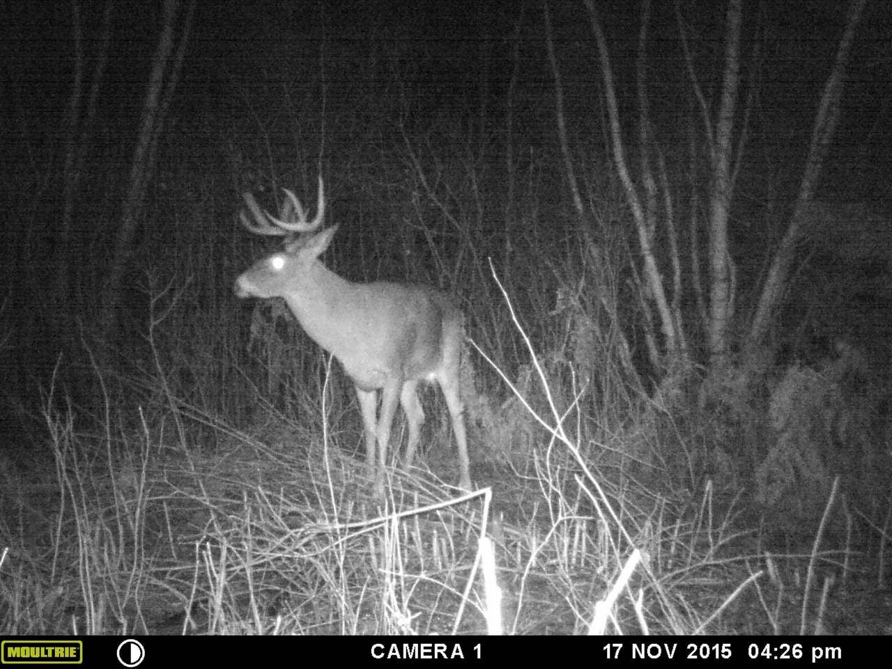 N12061 Old 13 Road Fifield, WI 54524 - Photo 22 of 35 Gallery Image 22