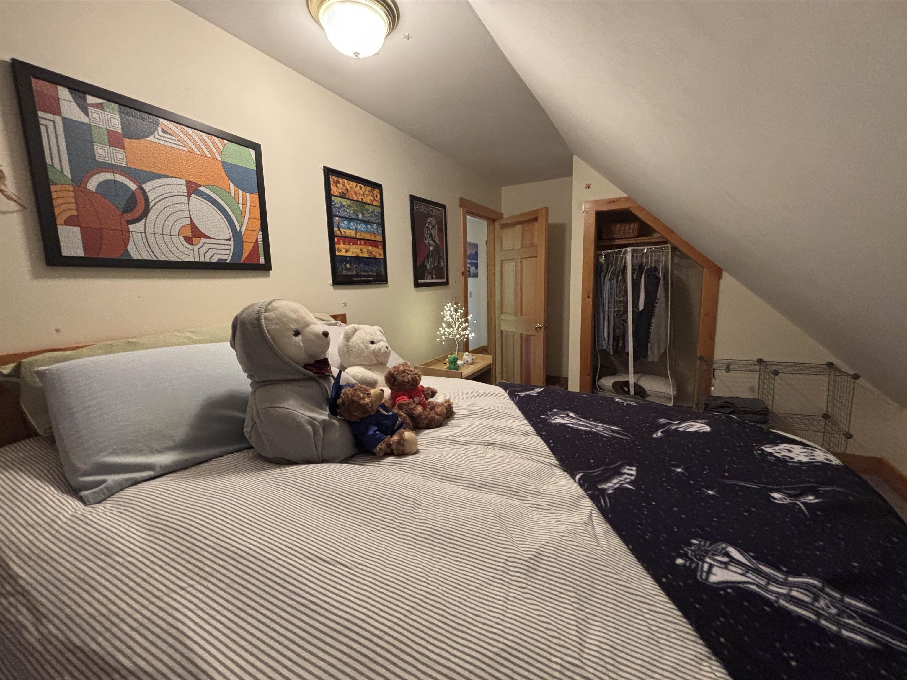 821 Paquette Road Craftsbury, VT 05680 - Photo 49 of 60