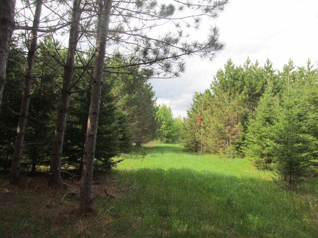 On Jane Spur Road, Unit 81 ACRES Gleason, WI 54435 - Photo 4 of 16 Gallery Image 4