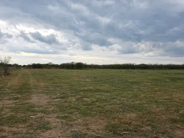 a view of a field with trees in background
