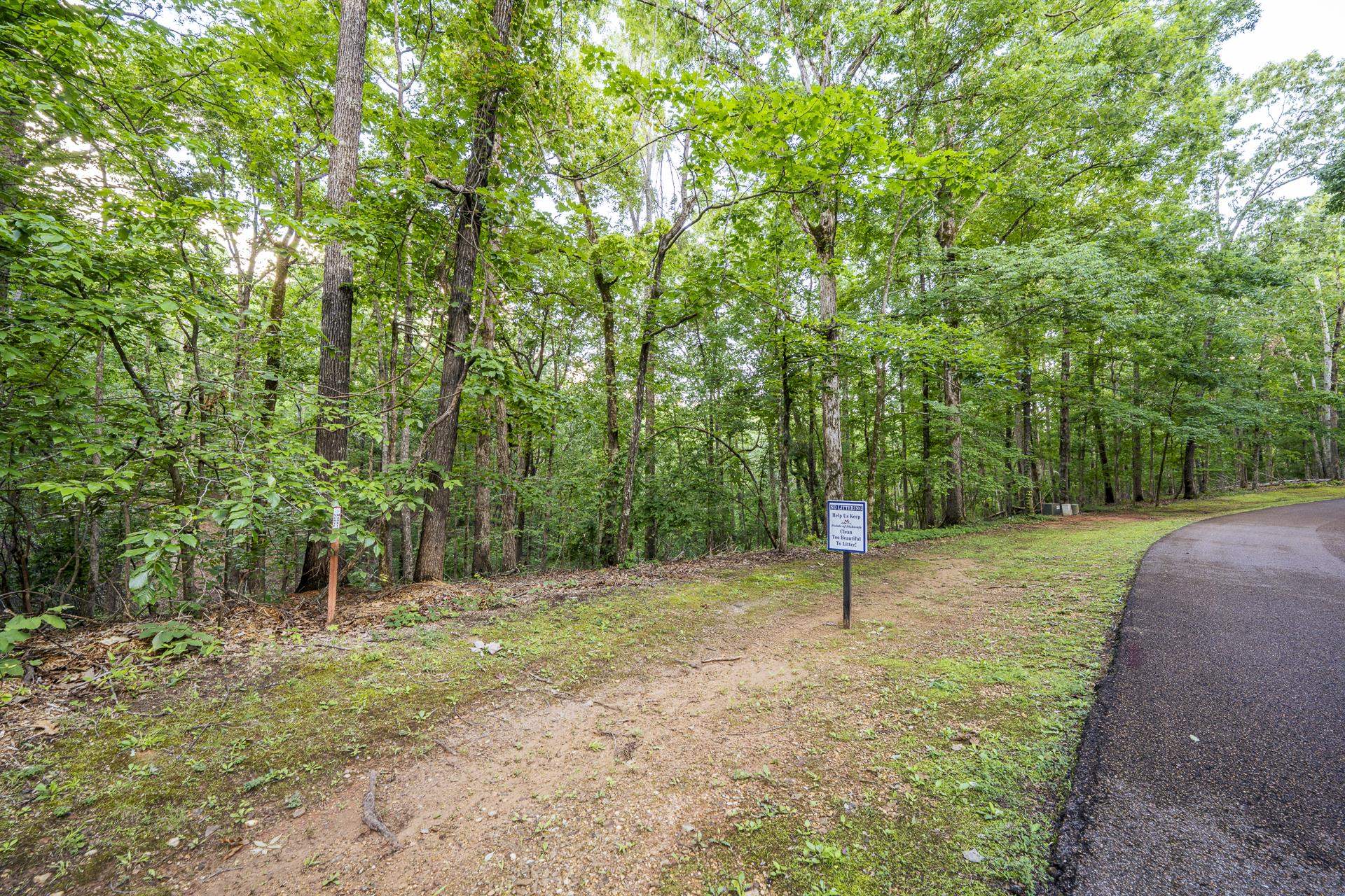 Lot 159 Anderson Hollow Road Savannah, TN 38372 - Photo 20 of 23