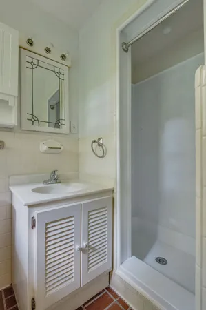 a bathroom with a sink a mirror and a shower