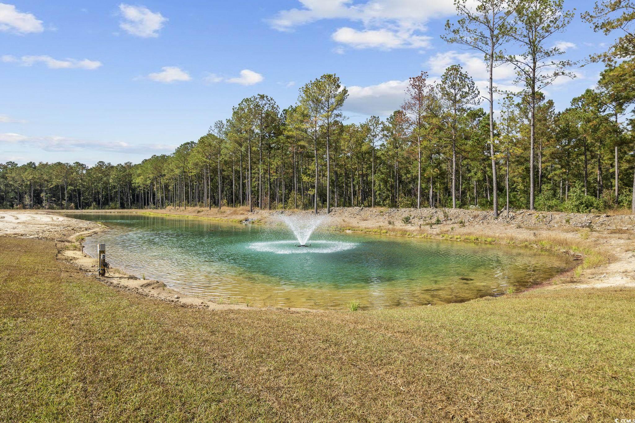 6914 Pauley Swamp Road Conway, SC 29527 - Photo 37 of 40 Water view