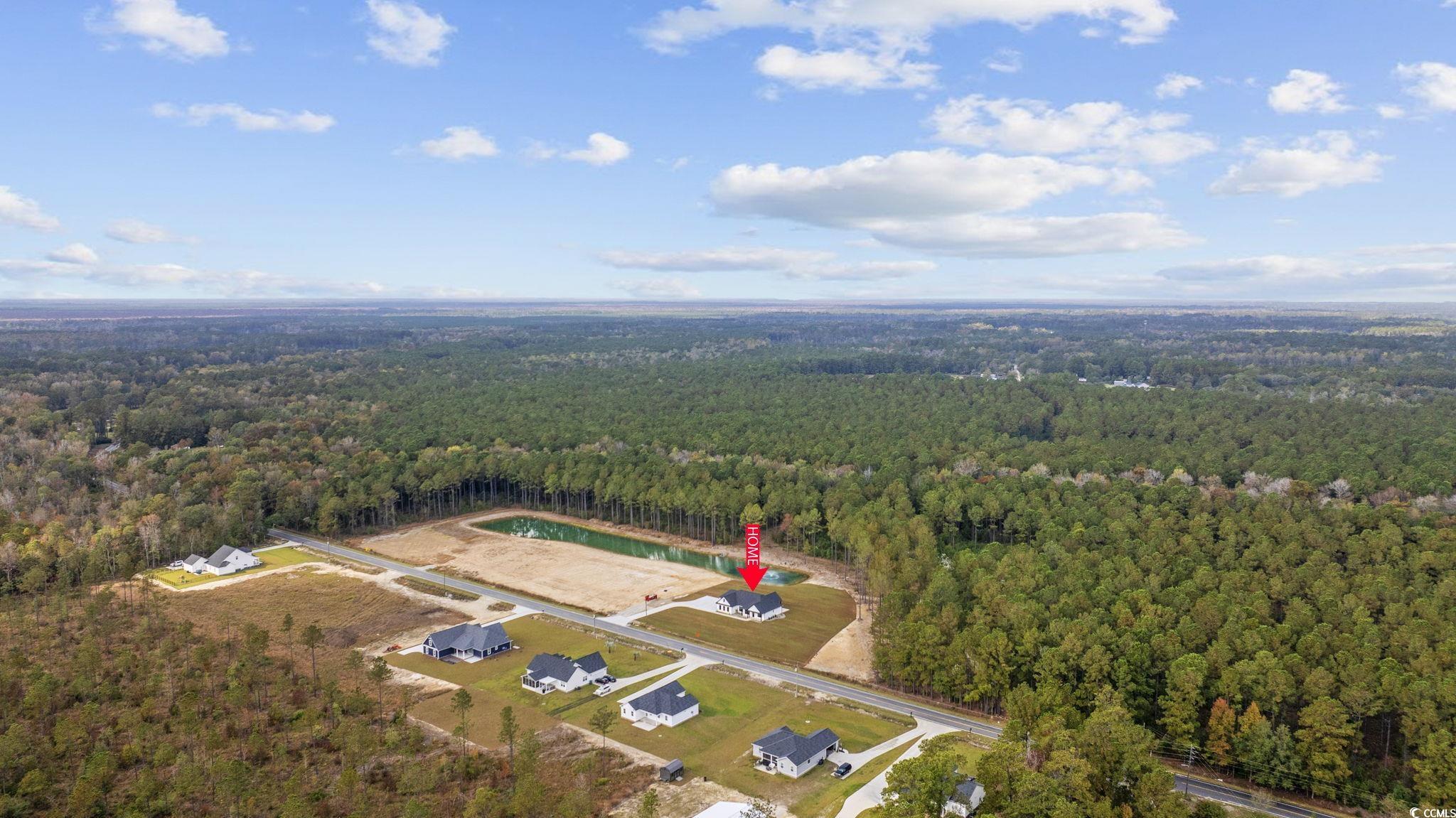6914 Pauley Swamp Road Conway, SC 29527 - Photo 40 of 40 Aerial view