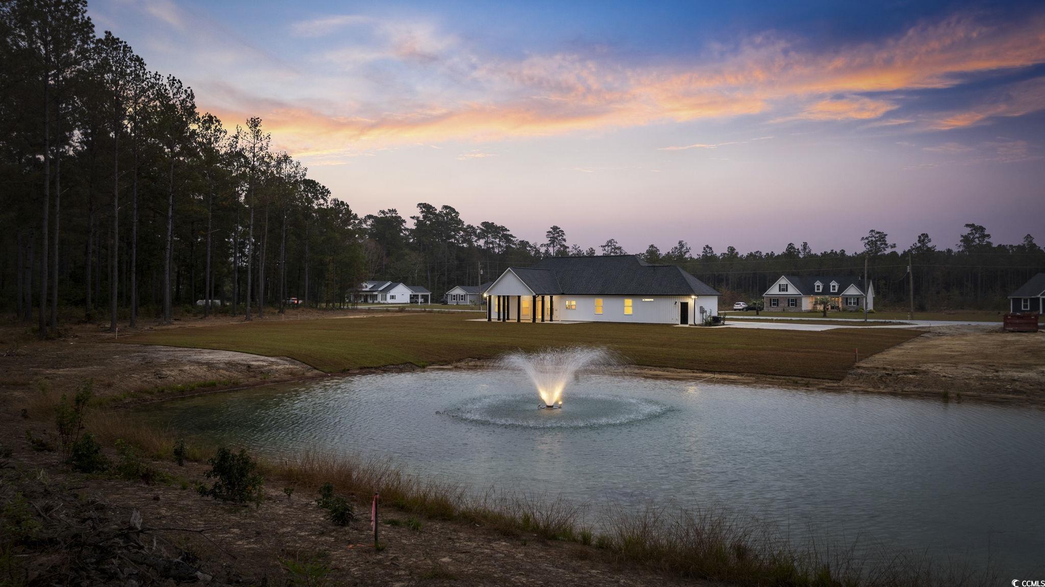 6914 Pauley Swamp Road Conway, SC 29527 - Photo 6 of 40 View of water feature