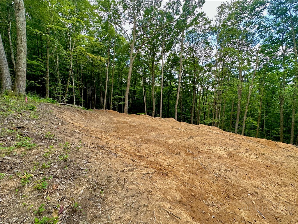 Old Chestnut Mountain Road Newland, NC 28657 - Photo 28 of 33