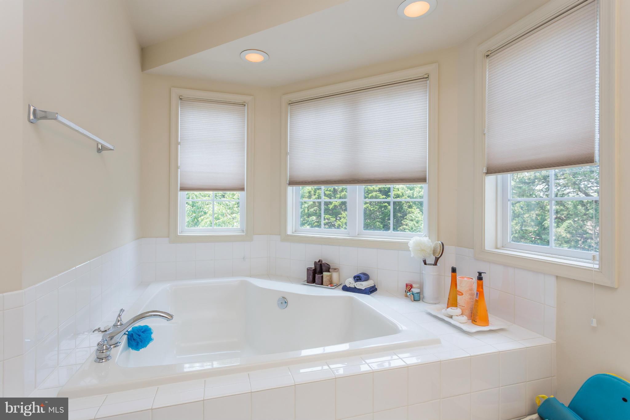 7368 Stream Bluff Way Springfield, VA 22153 - Photo 25 of 30 Bath (Master)